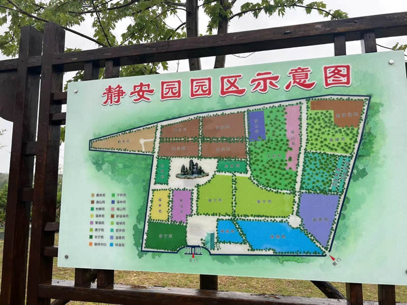 为什么越来越多沈阳人选择树葬？纪念林家属访谈实录！