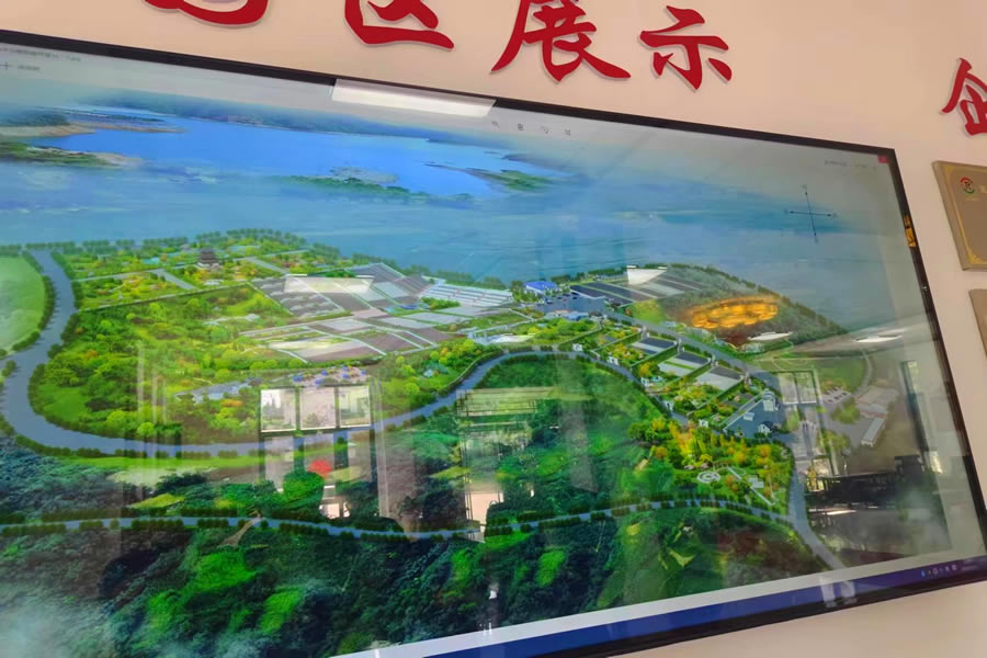 墓园全景