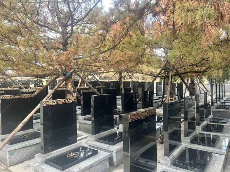 纪念林墓园新区墓碑