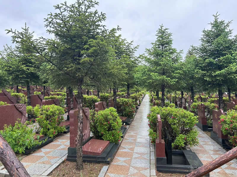 纪念林