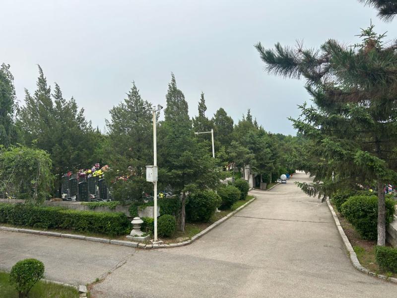 回龙岗墓园