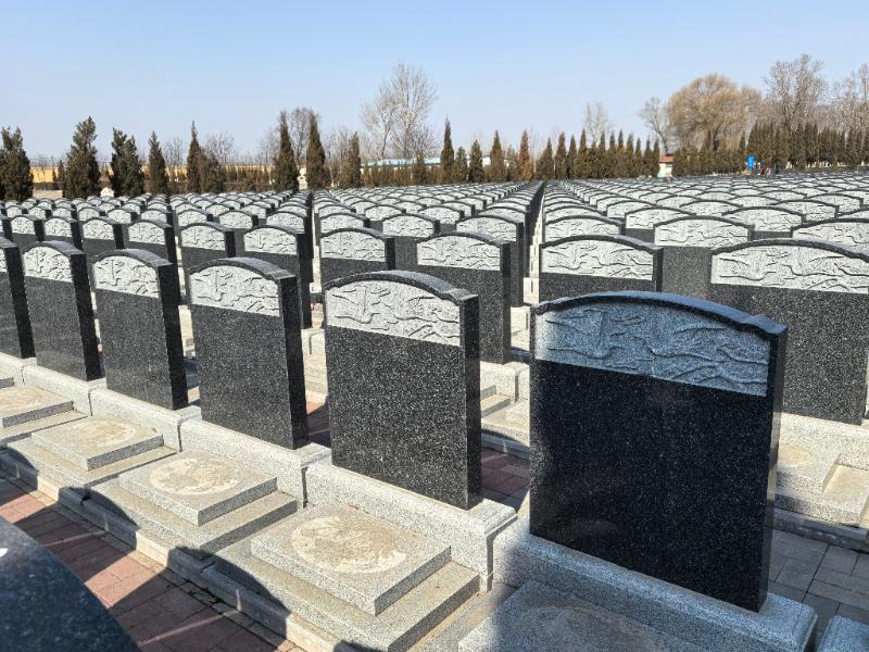 未来已来！2025年人口趋势：80后死后面临无地可埋？！如何破局！
