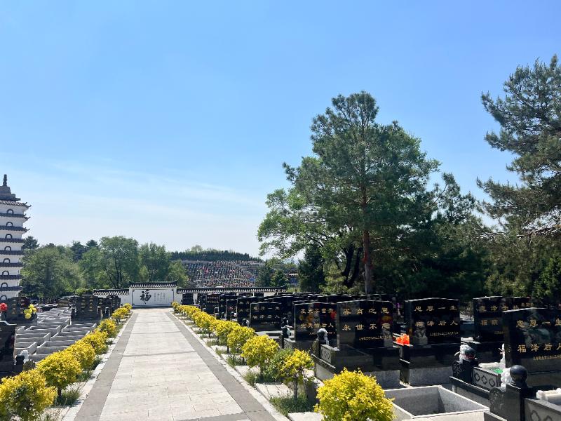 天山墓园环境