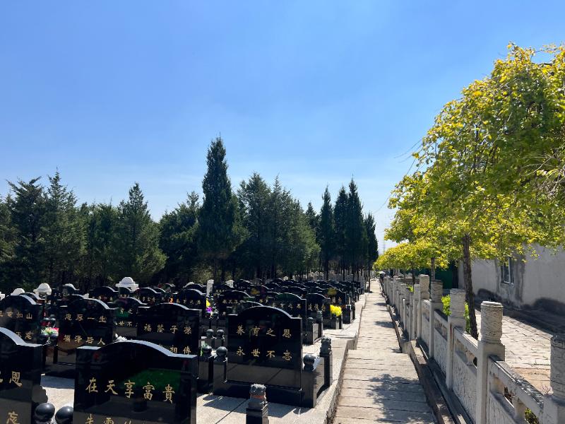 天山墓园环境