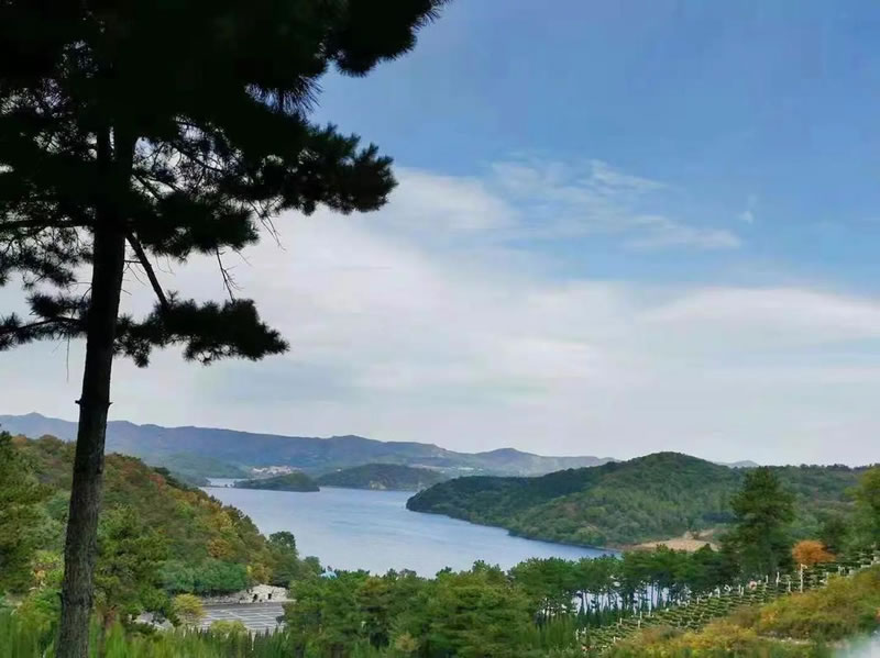 骏龙泉墓园