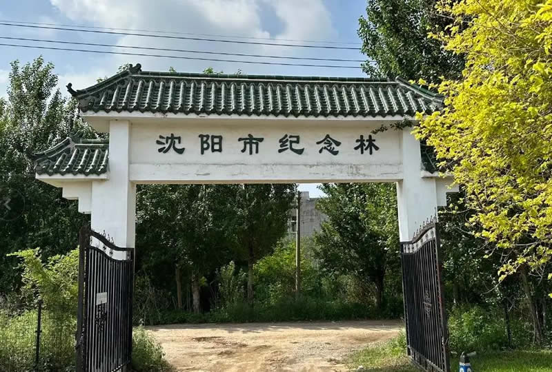 纪念林墓园