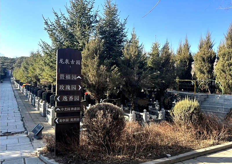 龙泉古园