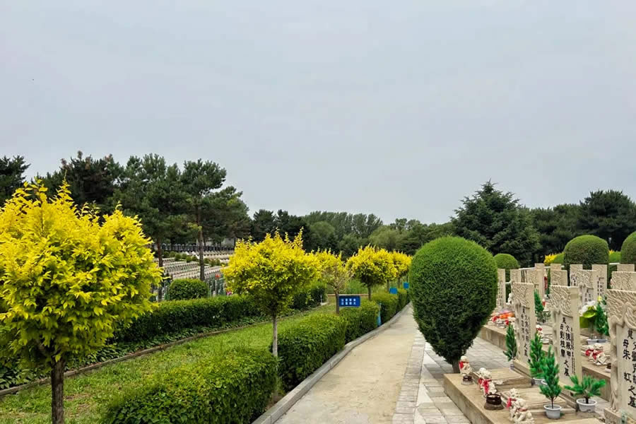 东山公墓