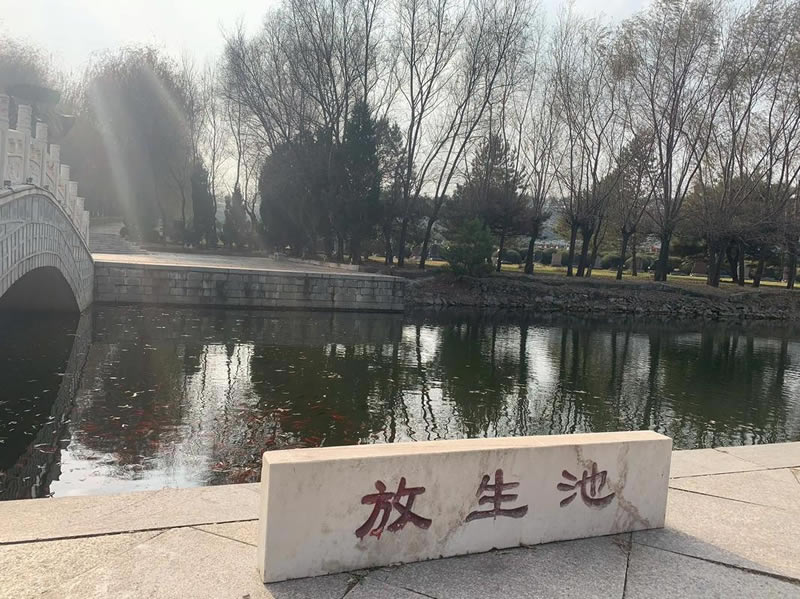 中华寺墓园