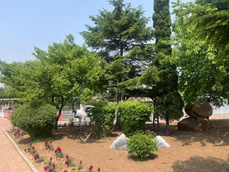 天台山墓园 天台山墓园