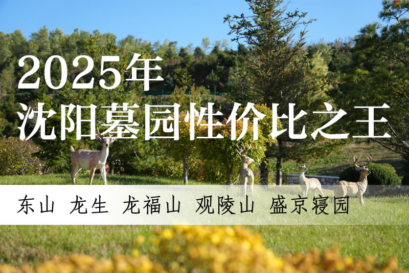 2025沈阳墓园“性价比之王”出炉！3万元预算竟能拿下风水龙脉？