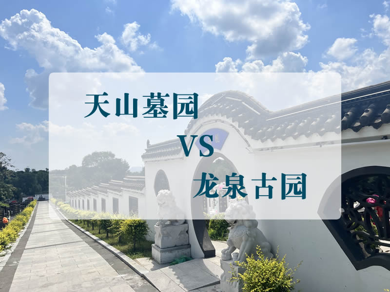 沈阳墓园藏风聚气王者：天山墓园 vs 龙泉古园，谁的格局更上乘？