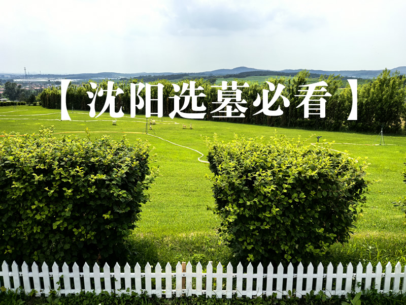 【沈阳选墓必看】实地探访20家墓园后，这5家高端品质+平民价格最值得选！