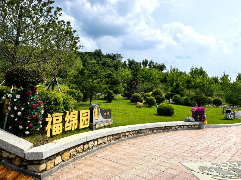 龙福山墓园