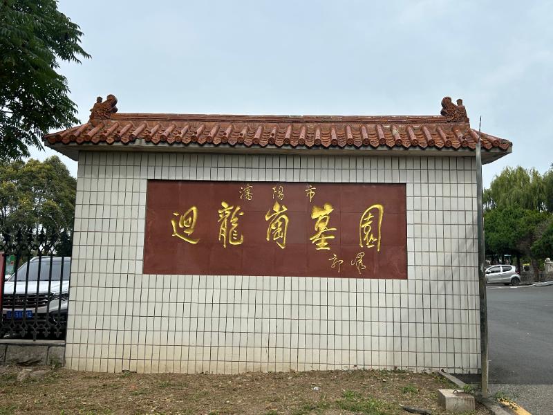 探访沈阳回龙岗 “森林墓园”:松柏沙沙作响时,思念有了诗意的归处!