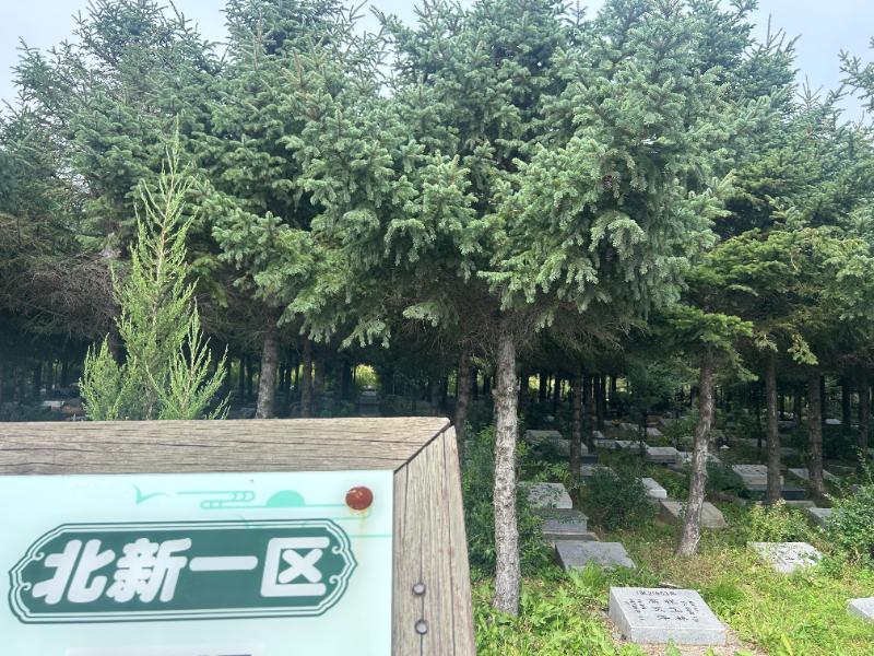 2025纪念林墓园环境