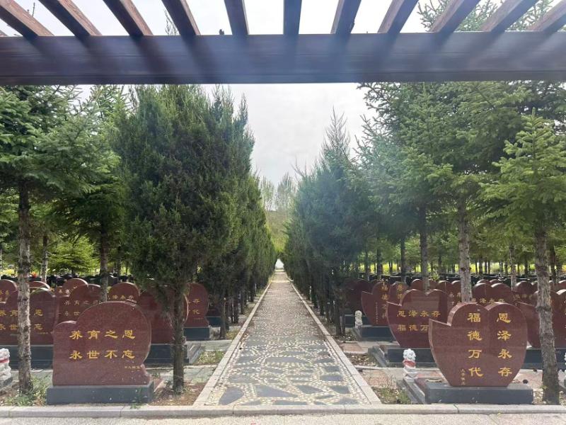 2025纪念林墓园环境