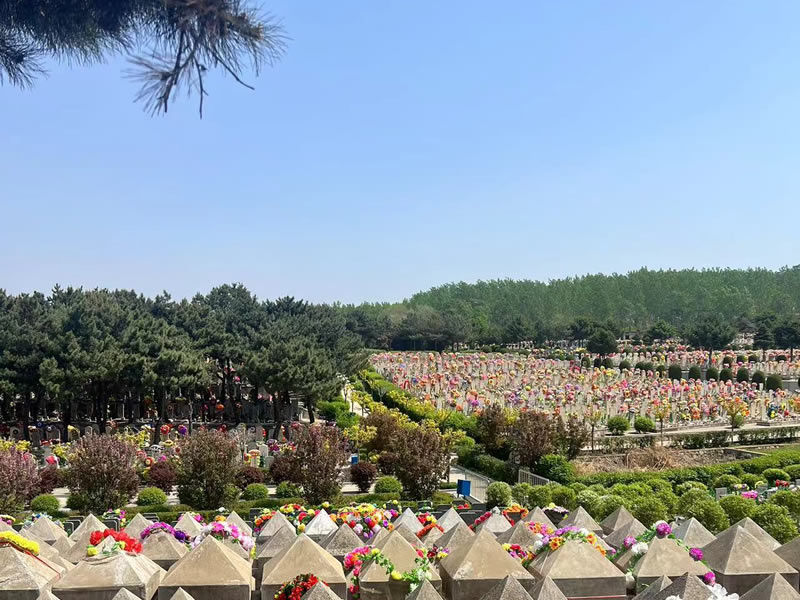 东山墓园 东山墓园