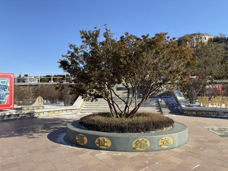 沈阳龙福山墓园