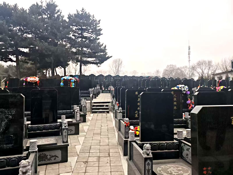 东山墓园冬季环境