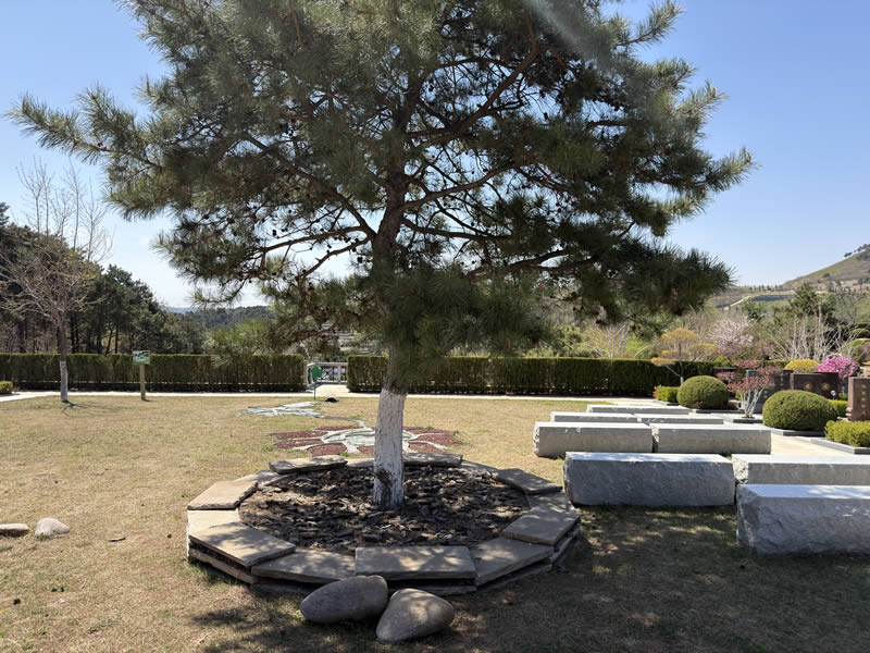 沈阳观陵山墓园