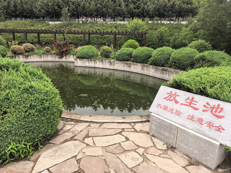 塔山墓园260527 塔山墓园260527