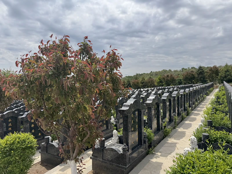 龙生墓园新区