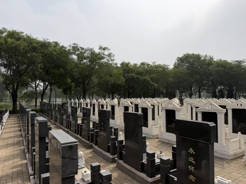 铁西沈西墓园：国有生态公墓，地铁1号线直达，立碑2.58万起！