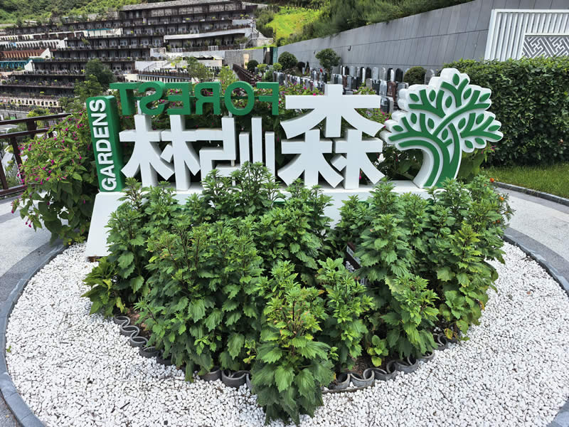 沈阳森林纪念园