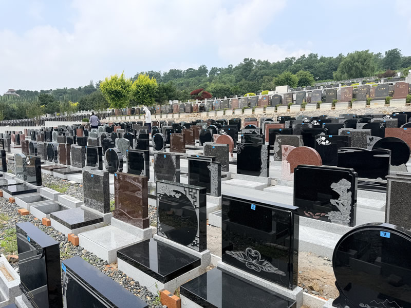 龙生四期玫瑰园39800起-3