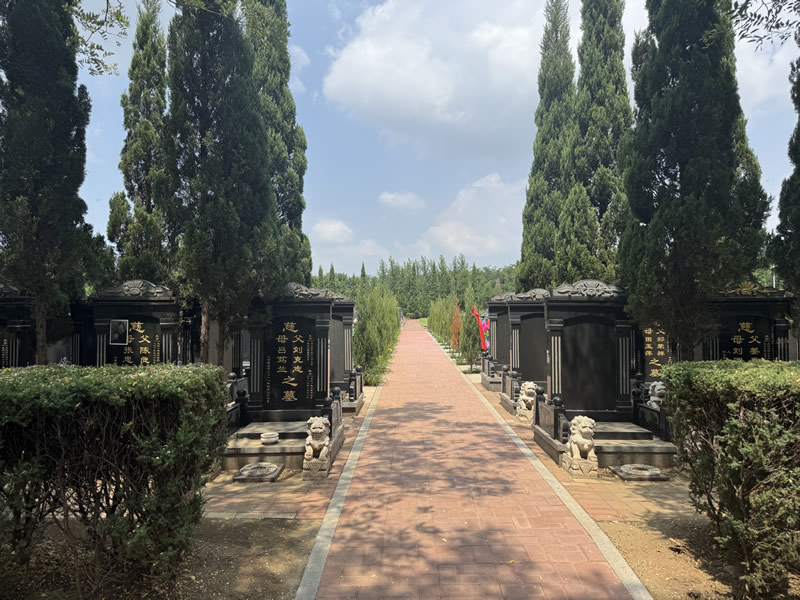 沈西墓园2026年夏天景观
