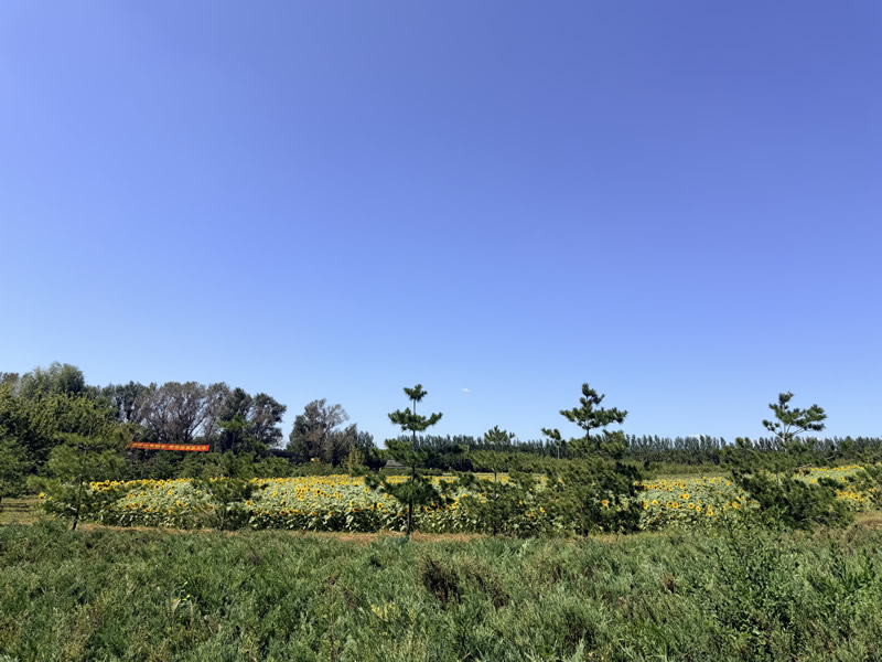 沈阳龙福山墓园