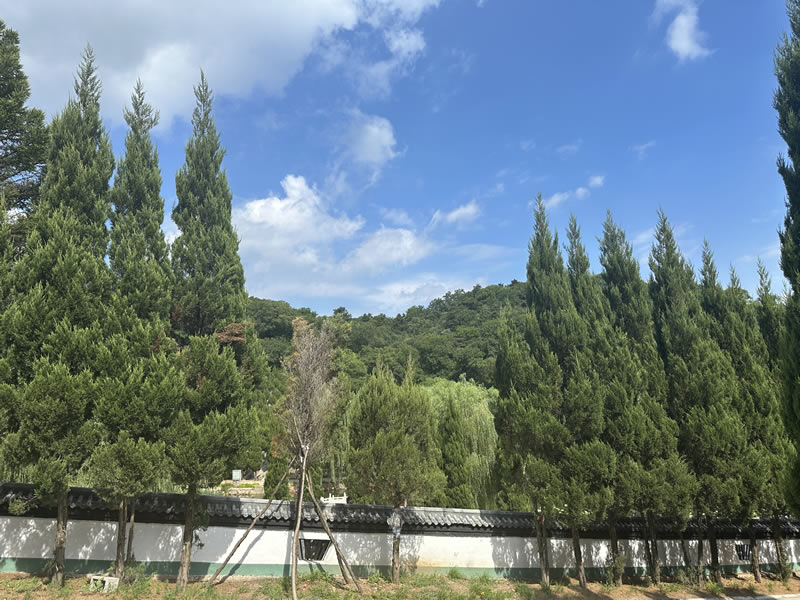 沈阳大河贝生态息园