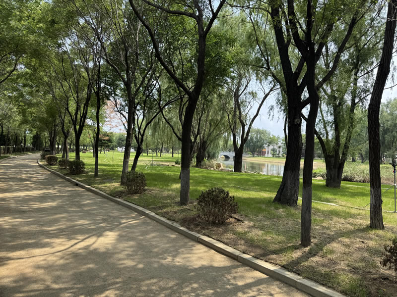 沈阳沈西墓园