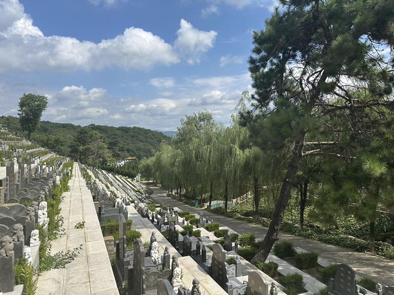 沈阳大河贝生态息园
