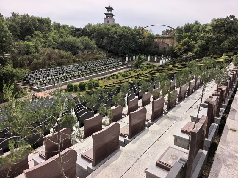 东郊卧龙墓园2026最新图片